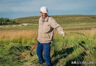 农民辛苦种地赚钱却遭遇骗局，如何维权求解？