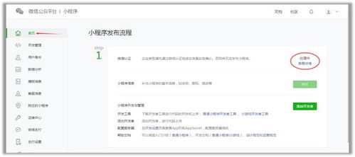 等待审核究竟意味着什么？审核流程详解