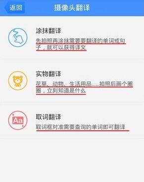 视频代码翻译副业App真的能赚钱吗？揭秘其盈利模式与实用性