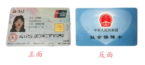 如何使用南阳社保卡自助服务平台？这是您的终极指南吗？