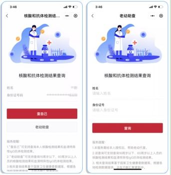 如何使用核酸检测自助平台进行结果查询？