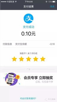 如何使用支付宝在自助平台上进行购买？这是否是最佳操作指南？
