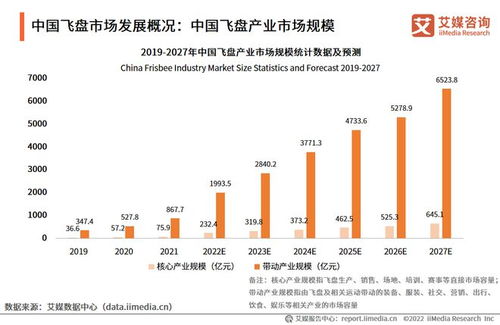 飞盘运动如何实现盈利？玩飞盘也能赚钱的秘诀是什么？