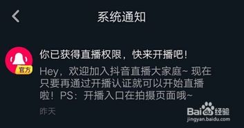 如何使用抖音自助举报平台？揭秘操作步骤与技巧