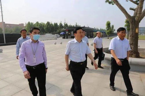 如何使用社保网自助办理平台进行便捷操作？