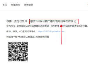 如何使用自助平台查询缴费比例？这样做能节省您的时间吗？