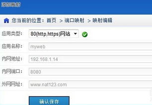 如何使用域名自助解析平台来实现高效DNS管理？