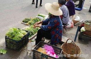 农民进城卖菜，真的能赚到钱吗？县城市场的利润揭秘
