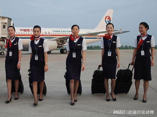空姐在飞行之外还从事哪些副业？