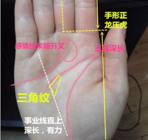 如何通过手相判断能否财运亨通？手相财富密码解析