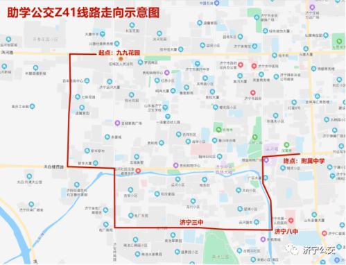 高中毕业就开启副业之路，这样的选择真的明智吗？