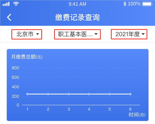 如何使用社保缴纳时间自助平台？一键查询指南来了吗？