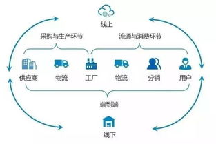 物流管理从业者如何选择合适的副业增加收入？