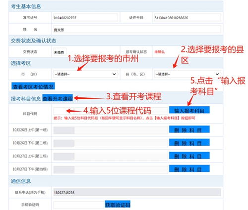 如何使用报考信息自助查询平台进行高效查询？