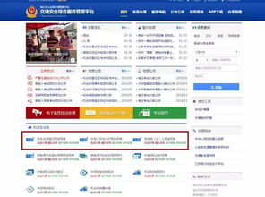 如何使用丽水车牌自助选号平台？解析选号步骤与技巧