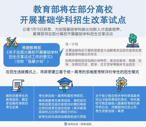 如何使用招生信息网的自助报到平台进行高效报到？