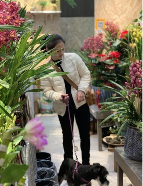 爱养花却不知如何变现？如何将园艺爱好发展成副业？