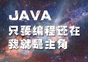 撞墙真的能赚钱吗？揭开这种另类生财之道的真相