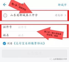 如何使用网络自助平台进行学杂费交费？