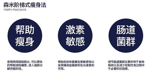 碳水化合物究竟指的是什么？其定义与作用详解