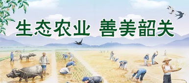 为何辛勤收麦却难见盈利？农民的丰收困境究竟何在？