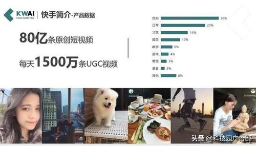 如何使用快手秒点赞在线自助平台，实现快速点赞的技巧揭秘？