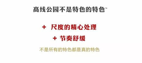 导师如何兼顾学术与副业，成功秘诀何在？