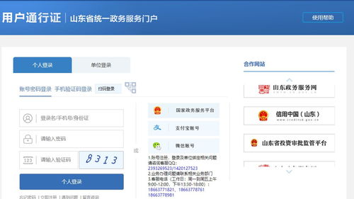 如何使用泰安医保自助申报网站？详解操作步骤及申报指南