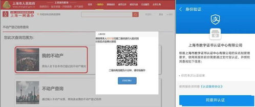 如何使用不动产自助查询平台进行高效查询？