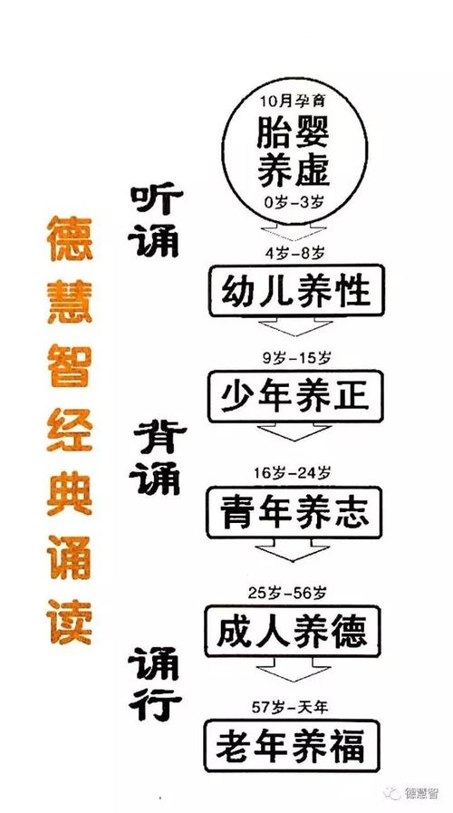 新疆四断与四泛究竟指什么？背后含义详解