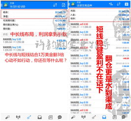 Qt 开发者如何实现盈利？探索其背后的赚钱之道