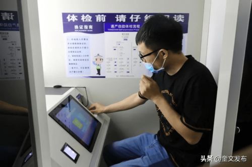 如何使用石排车管所的自助服务办理驾管业务？