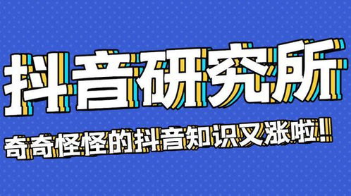 如何使用抖音自助下单平台提升业务网效率？