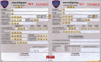 如何使用外国人入境卡自助申报网站进行高效申报？