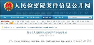 电白区冯许珍面临何问题？冯燕强最新动态如何？
