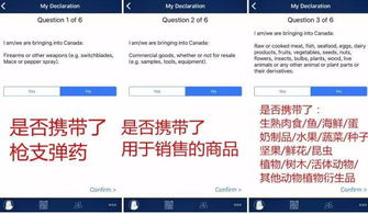 如何使用加拿大的自助报税网站进行查询？