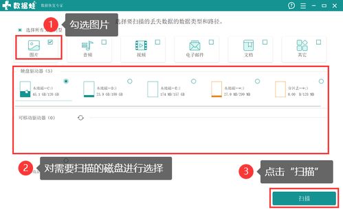 如何进行全自动阳光打码设置？详细步骤解析