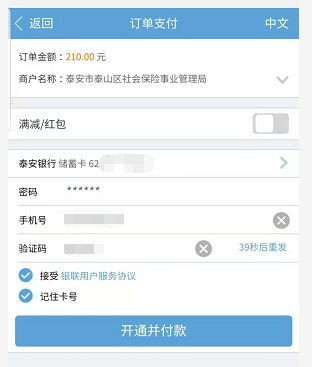 如何使用泰安医保自助缴费平台进行查询？