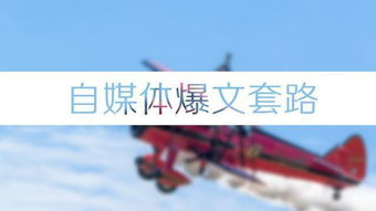 中视频如何实现盈利？新手也能月入过万的秘诀是什么？