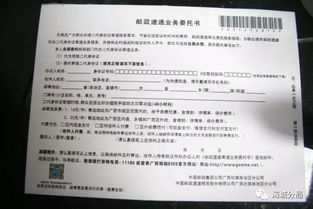 如何使用石家庄低保自助申请平台？这是否是您申请低保的最佳途径？
