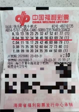 如何使用彩票自助选号平台，它真的能提高中奖几率吗？