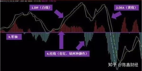 交易市场为何总是＂人精＂获利？普通人如何逆袭？