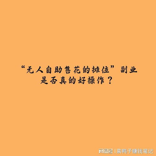 如何在闲暇时光找到合适的副业充实自己？