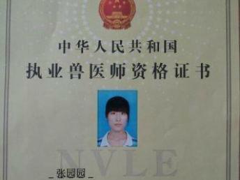 如何使用全国兽医资格证自助平台？这是否是您获取资格证的最佳途径？