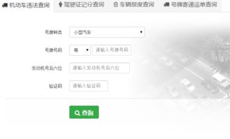 如何使用湛江违章查询自助平台？交通罚款缴纳指南在这里？