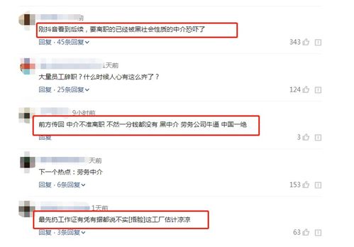 如何使用世硕员工专属的自助查询平台进行信息查询？