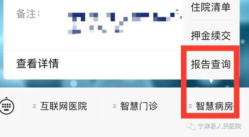 如何使用核酸检测自助攻略平台？一手掌握最新指南与技巧！