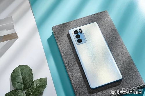 碧根康宝丽售价几何？手机版碧根康宝丽价格揭秘