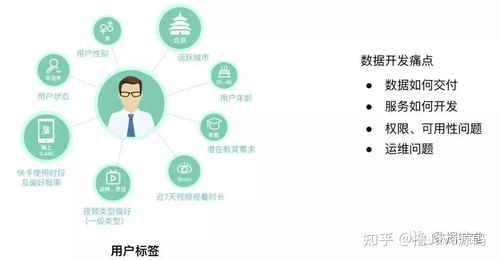 如何使用快手假聊业务自助平台？探秘其功能与优势