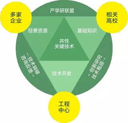中日合作如何实现双赢盈利模式？
